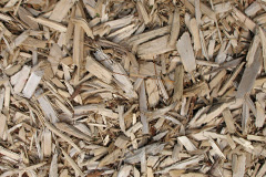 biomass boilers Minterne Magna